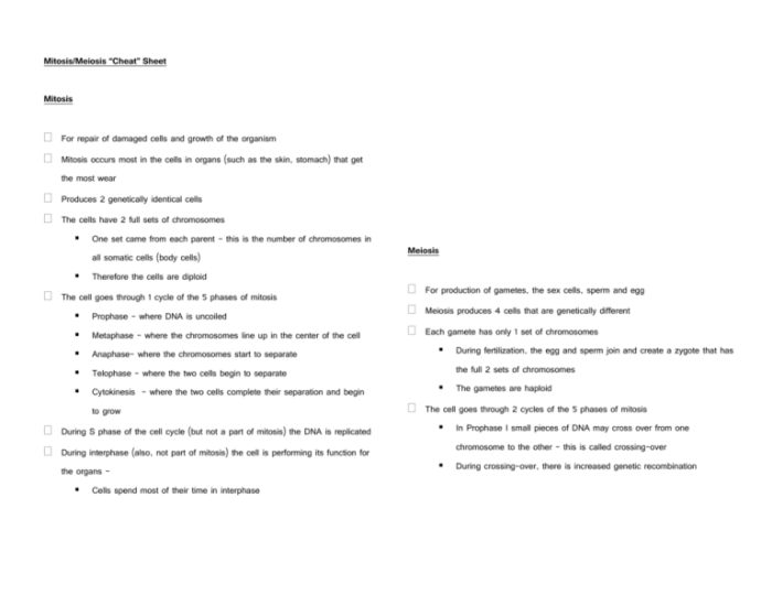 Cheat sheet meiosis gizmo answer key pdf