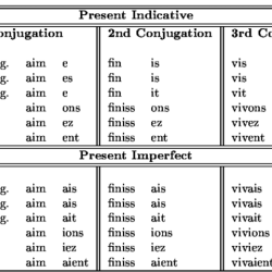 Conjugation verb irregular verbs tense