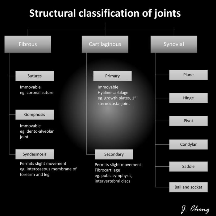 Joints joint physiology synovial skeletal infogram infographics hand fakhrizal teuku pd