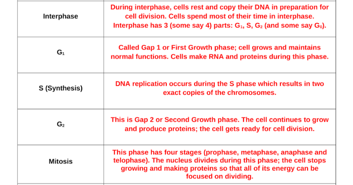 Cheat sheet meiosis gizmo answer key pdf