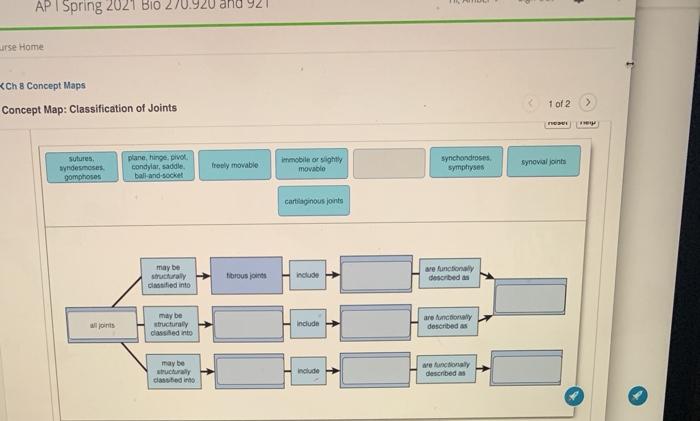 Concept map: classification of joints