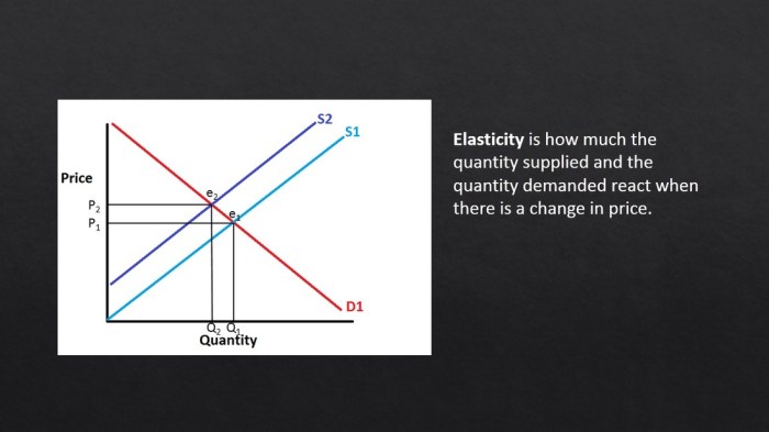 Demand elastic elasticity price curve inelastic look does good graphically