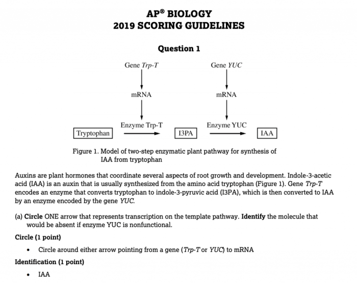 Ap bio unit 7 progress check frq