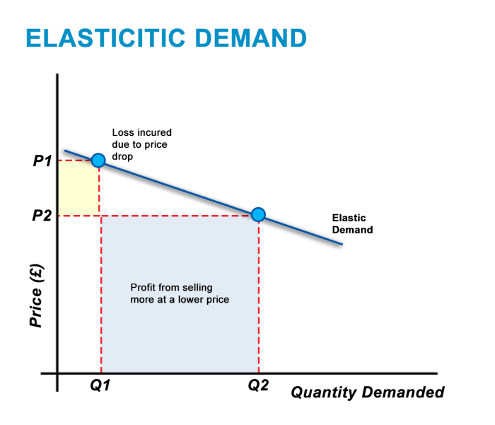 Elasticity and incentives project graph