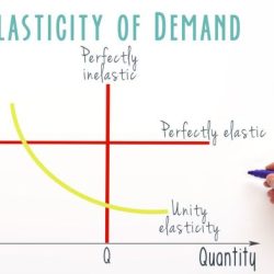 Elasticity and incentives project graph