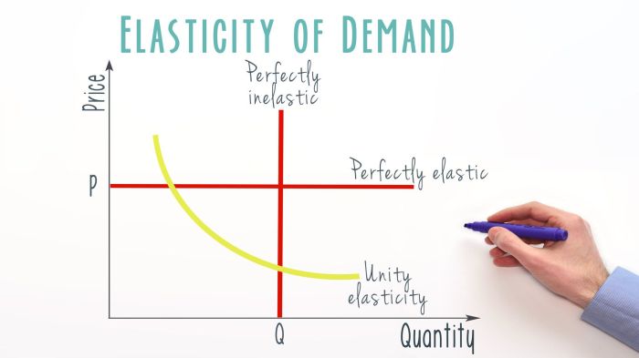 Elasticity and incentives project graph