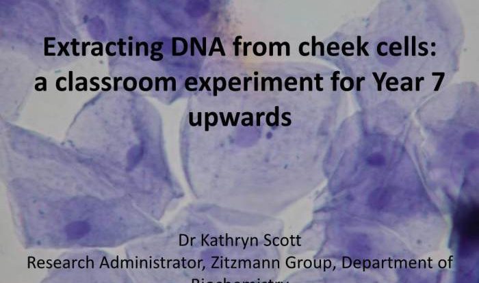 Many classroom protocols for extracting dna