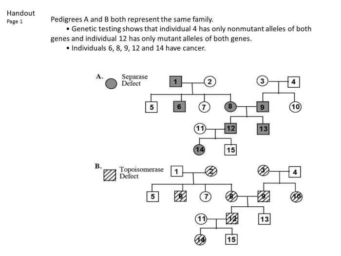 Pedigree chart worksheet with answers