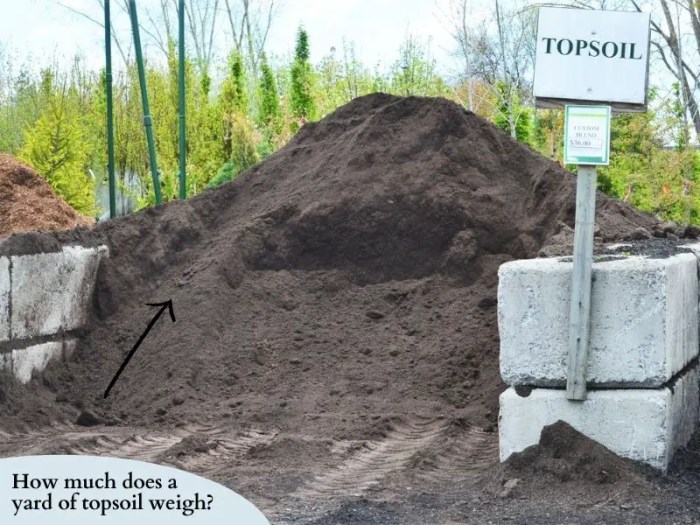 Chapter 11: topsoil accumulates at the rate of _______________.